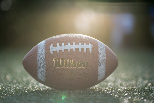 的技战术能 的技战术能