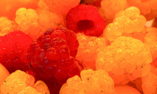 信服的領袖 信服的領袖