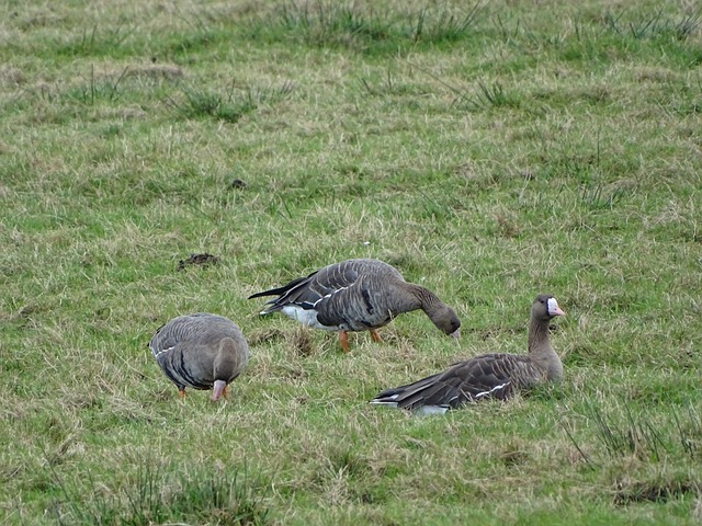 完全值得 完全值得