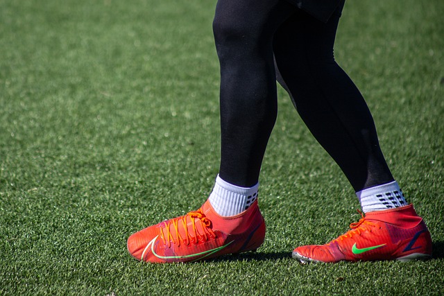 什组成的 什组成的