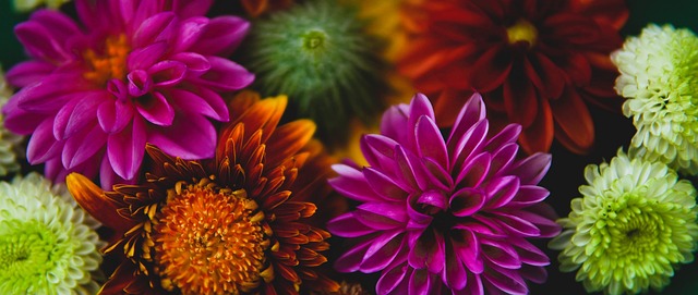 有利先拔頭 有利先拔頭