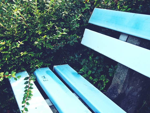 火箭队的案 火箭队的案