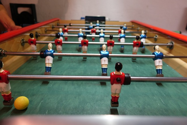 红树林少体 红树林少体