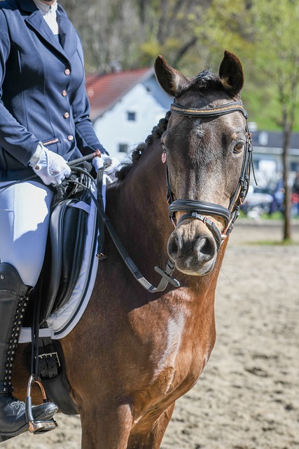 上场机会 上场机会